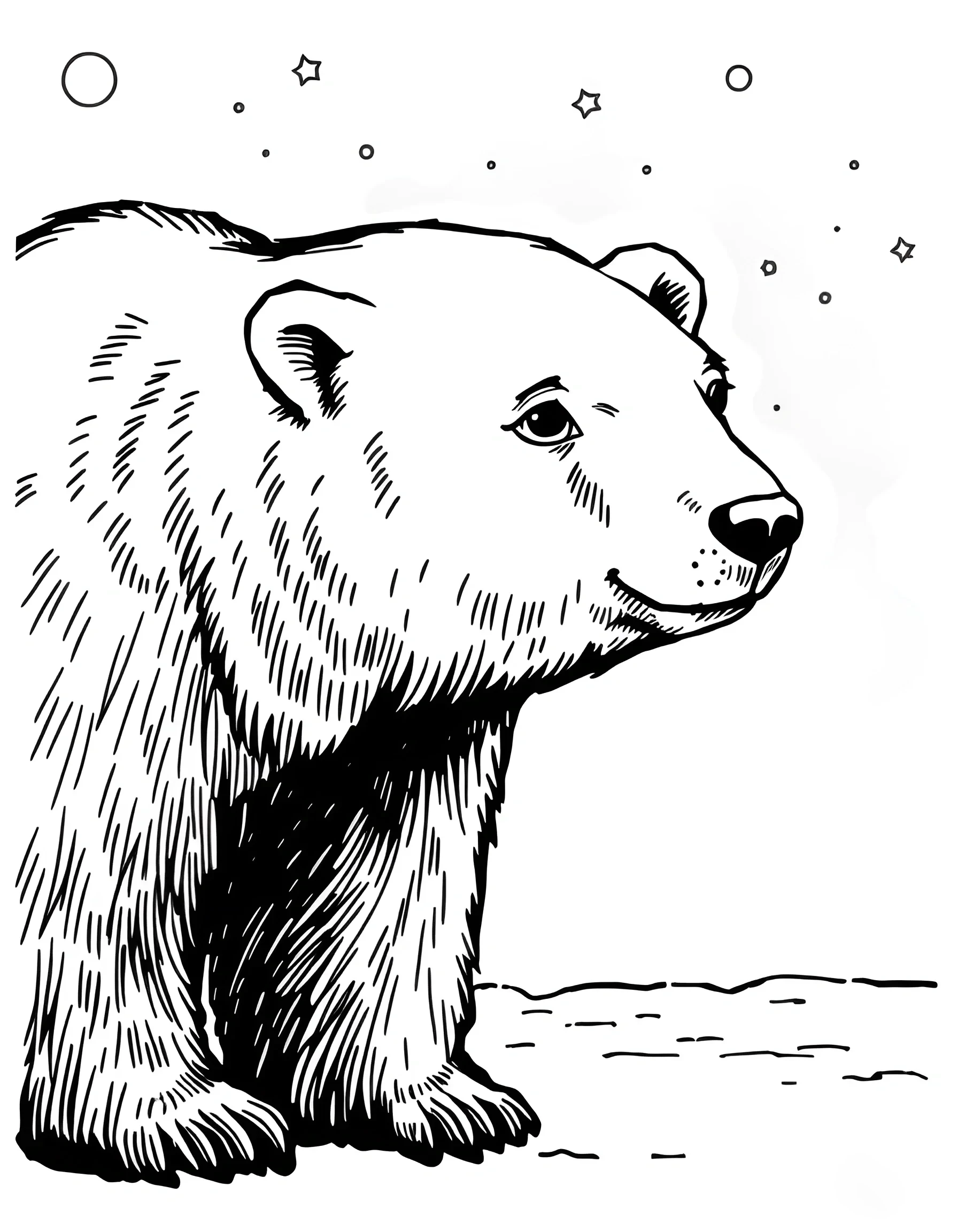 Black and White Polar Bear Illustration - Free Download - AI Scribbles