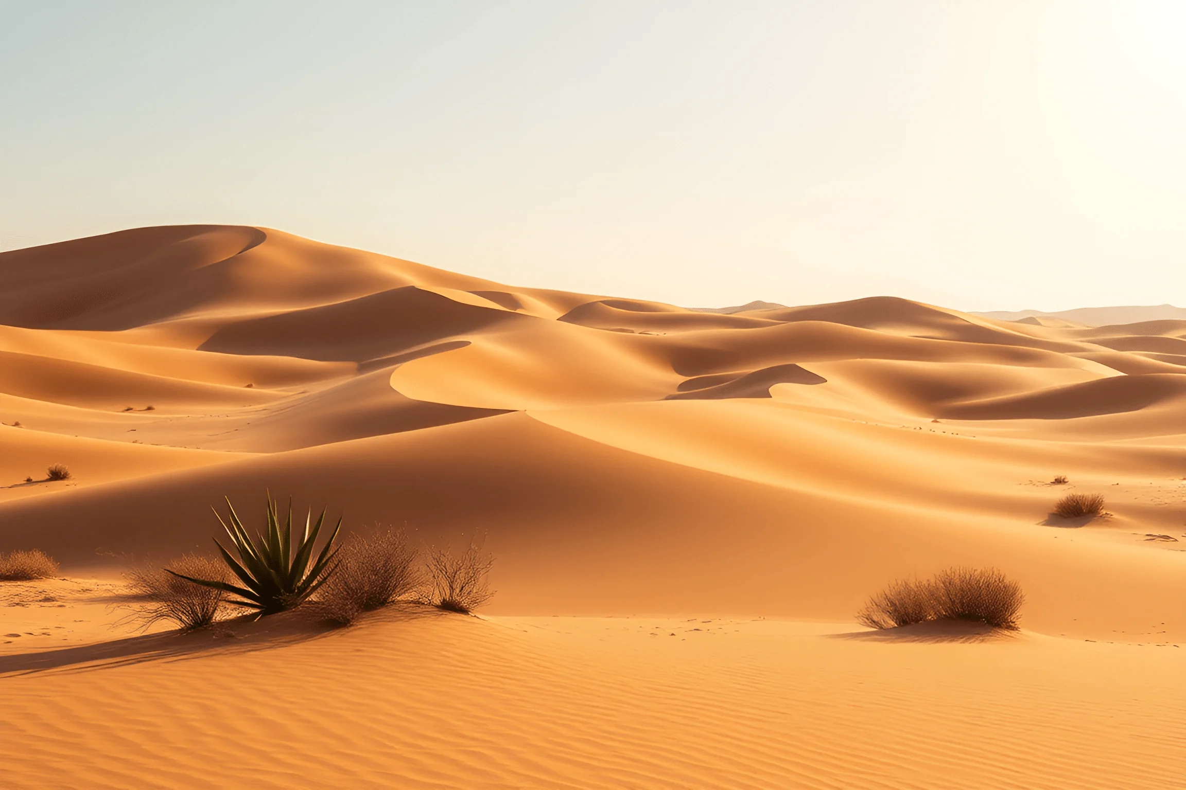 Golden Desert Landscape at Sunset - Free Download - AI Scribbles