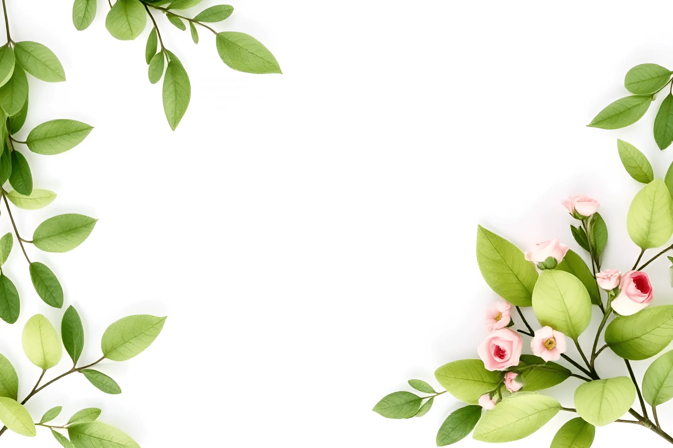 Green Leaves and Pink Floral Border on White Background - Free Download ...