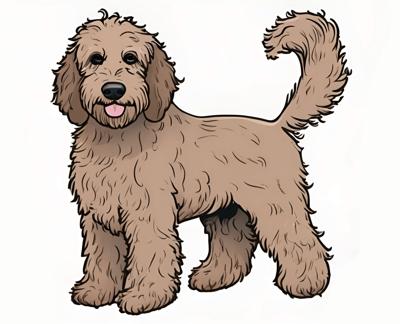 A playful cartoon illustration of a fluffy dog with a curly tail, created in a colorful and whimsical art style. The dog appears happy and friendly, perfect for children's books and pet-themed graphics.