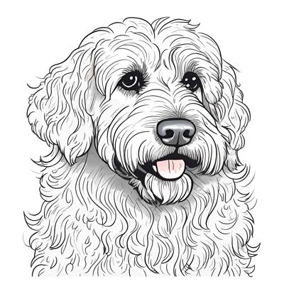 A detailed black and white illustration of a cute, fluffy dog drawn in a hand-sketched style.