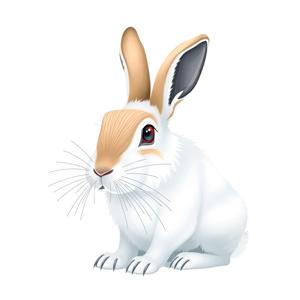 Illustration of a White Rabbit - Free Download - AI Scribbles